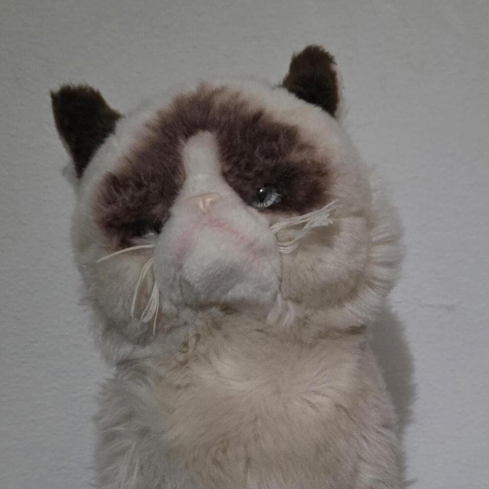 Grumpy Cat plushie with brown and white fur #grumpy #cat